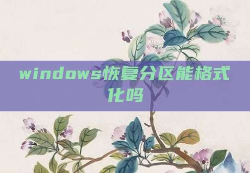 windows恢复分区能格式化吗
