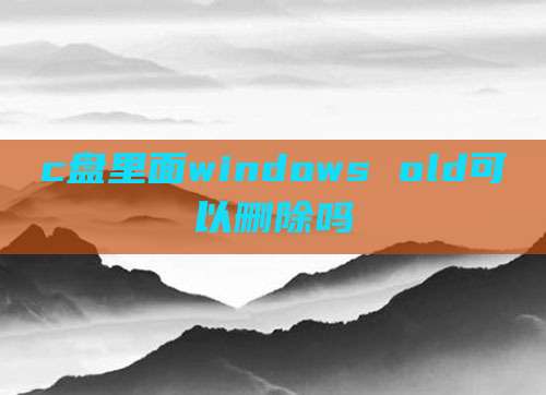 c盘里面windows old可以删除吗