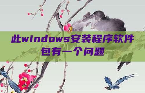 此windows安装程序软件包有一个问题