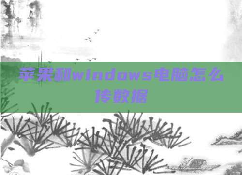 苹果和windows电脑怎么传数据