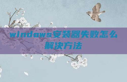 windows安装器失败怎么解决方法