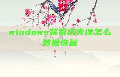 windows装系统失误怎么数据恢复