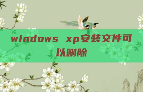 windows xp安装文件可以删除
