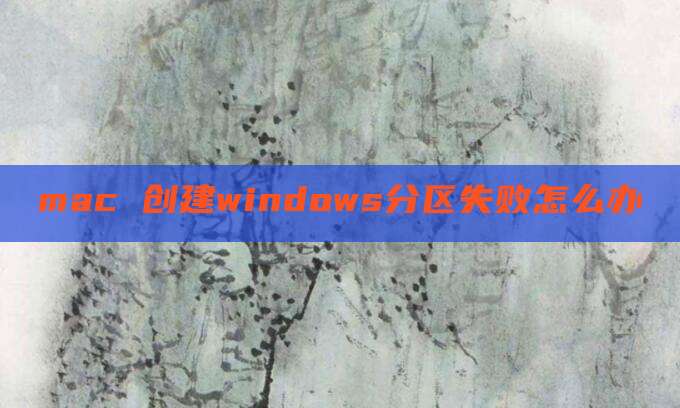 mac 创建windows分区失败怎么办