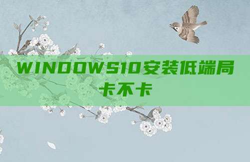 WINDOWS10安装低端局卡不卡