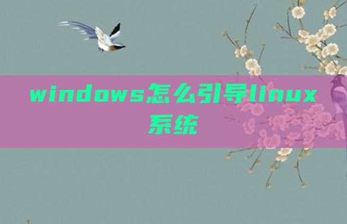 windows怎么引导linux系统