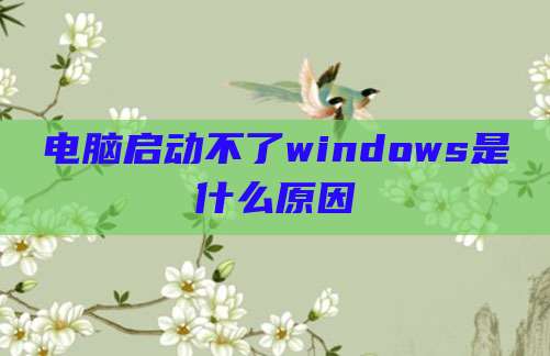 电脑启动不了windows是什么原因