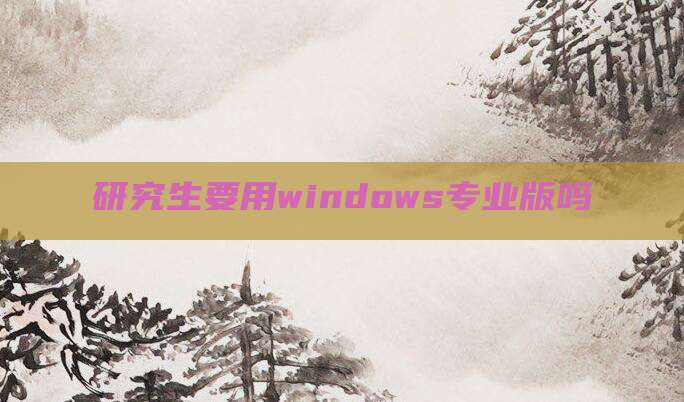 研究生要用windows专业版吗