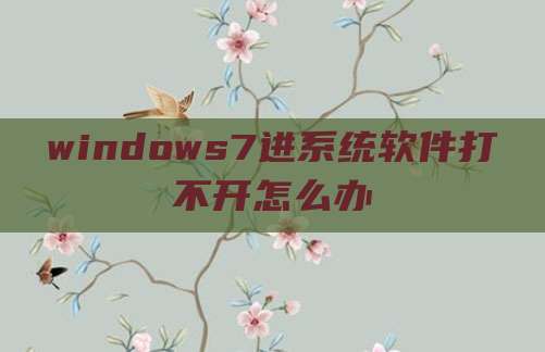windows7进系统软件打不开怎么办