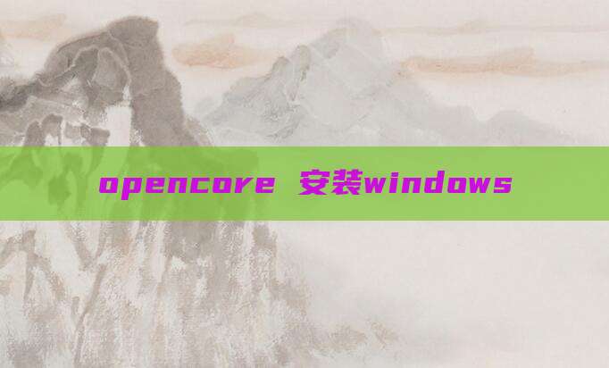opencore 安装windows