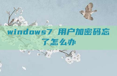 windows7 用户加密码忘了怎么办