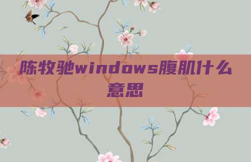 陈牧驰windows腹肌什么意思