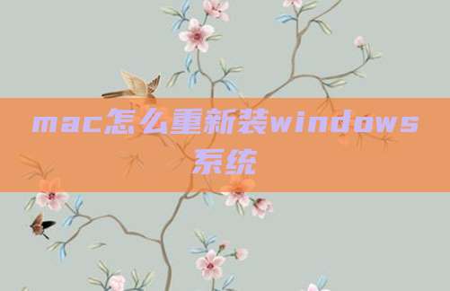 mac怎么重新装windows系统