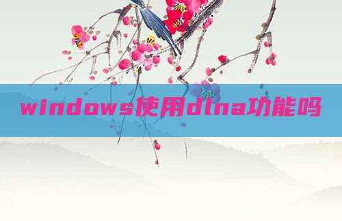windows使用dlna功能吗