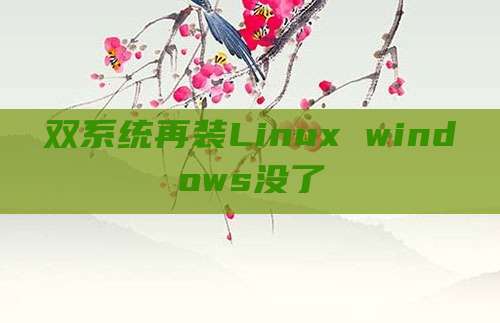 双系统再装Linux windows没了