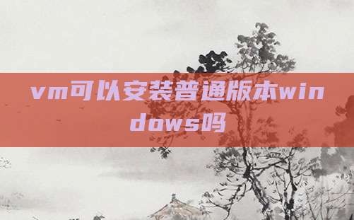 vm可以安装普通版本windows吗