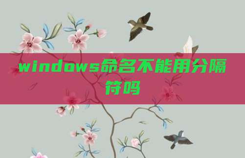windows命名不能用分隔符吗