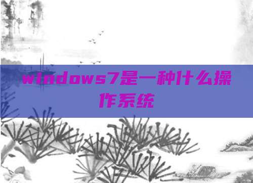 windows7是一种什么操作系统