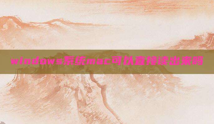 windows系统mac可以直接读出来吗