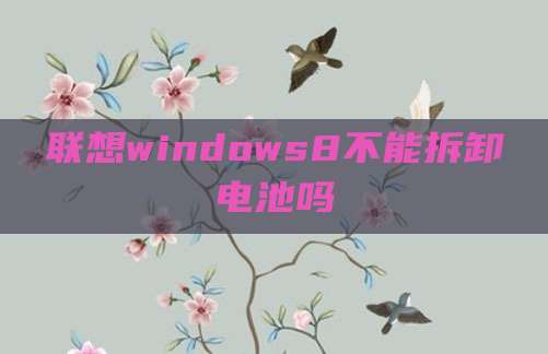 联想windows8不能拆卸电池吗