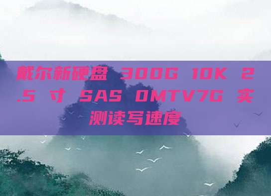 戴尔新硬盘 300G 10K 2.5 寸 SAS 0MTV7G 实测读写速度