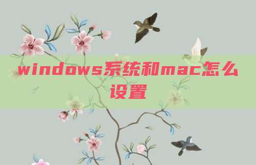 windows系统和mac怎么设置