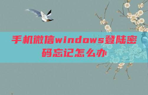 手机微信windows登陆密码忘记怎么办