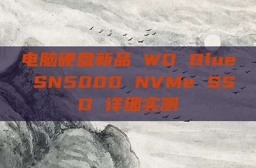 电脑硬盘新品 WD Blue SN5000 NVMe SSD 详细实测