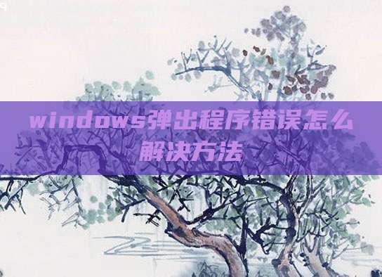 windows弹出程序错误怎么解决方法