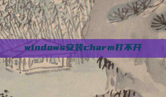 windows安装charm打不开