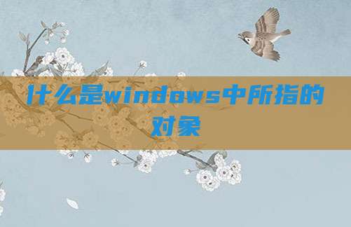什么是windows中所指的对象