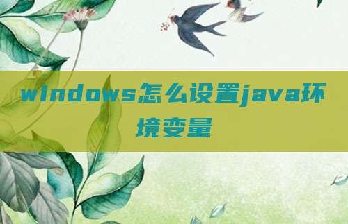 windows怎么设置java环境变量