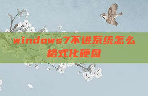 windows7不进系统怎么格式化硬盘