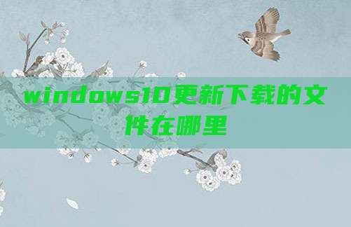 windows10更新下载的文件在哪里