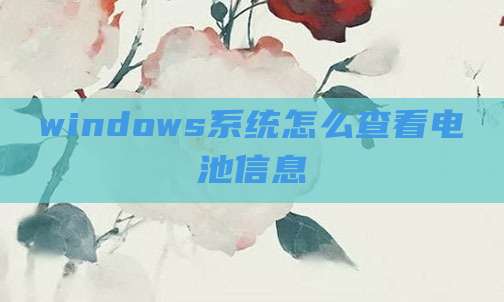 windows系统怎么查看电池信息