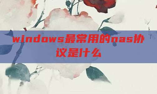 windows最常用的nas协议是什么