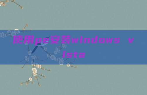 使用pe安装windows vista