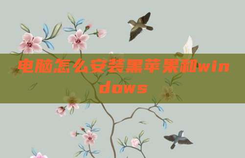 电脑怎么安装黑苹果和windows