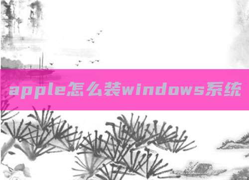 apple怎么装windows系统