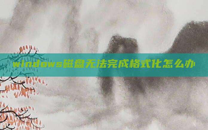 windows磁盘无法完成格式化怎么办
