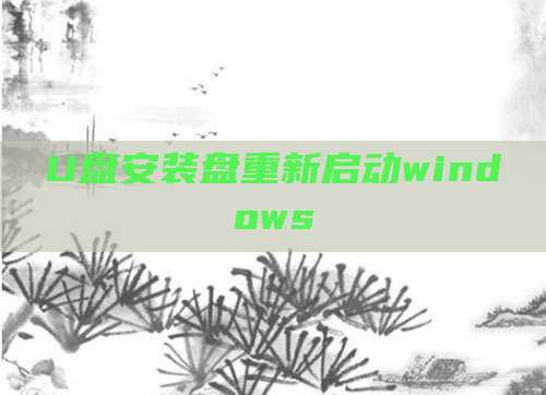 U盘安装盘重新启动windows