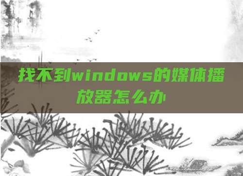 找不到windows的媒体播放器怎么办