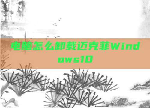 电脑怎么卸载迈克菲Windows10