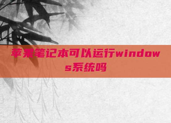 苹果笔记本可以运行windows系统吗