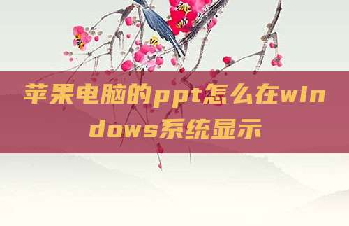 苹果电脑的ppt怎么在windows系统显示