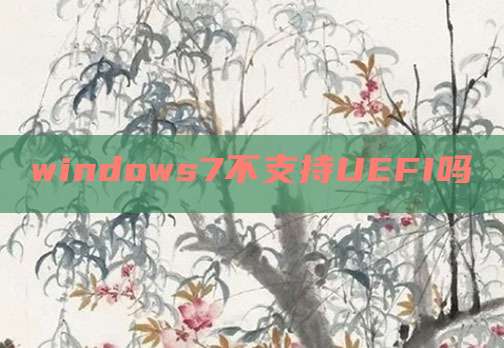 windows7不支持UEFI吗
