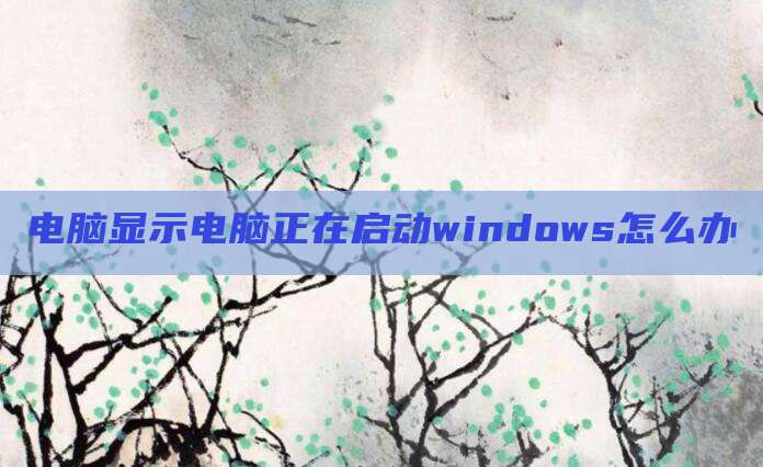 电脑显示电脑正在启动windows怎么办