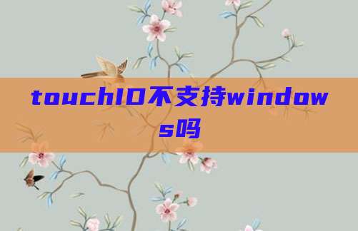 touchID不支持windows吗