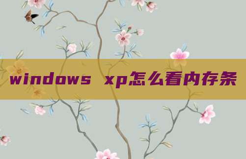 windows xp怎么看内存条