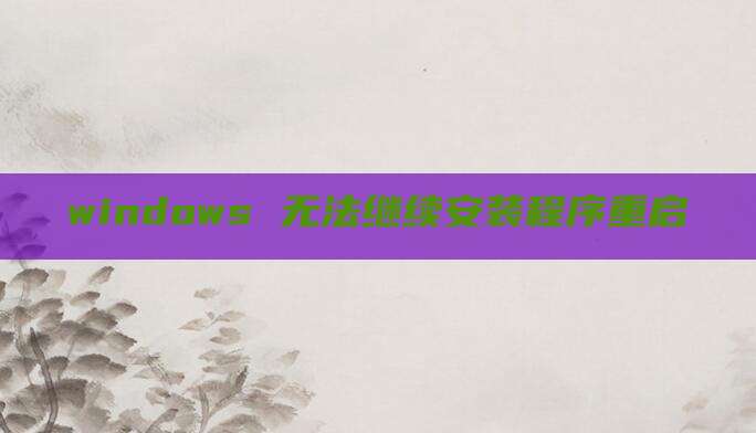 windows 无法继续安装程序重启